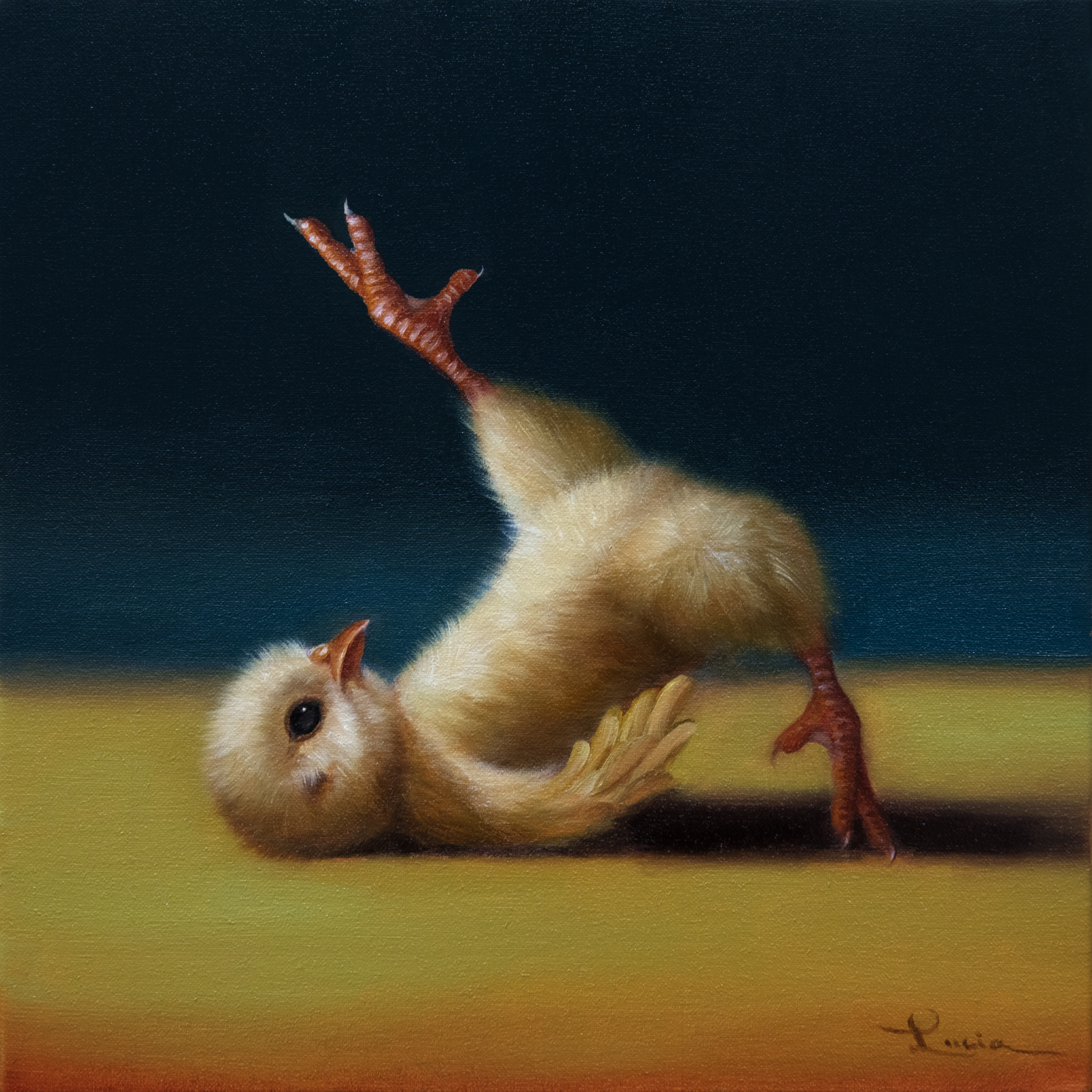 Pilates Chick - Bicycle - Lucia Heffernan